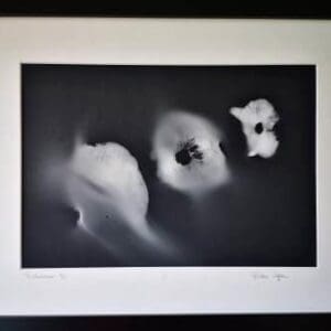 Irish Artmart | The Irish Art Marketplace | Discover new Irish Art