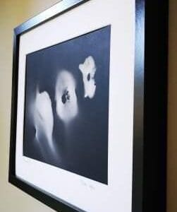 Irish Artmart | The Irish Art Marketplace | Discover new Irish Art