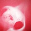 Irish Artmart | The Irish Art Marketplace | Discover new Irish Art