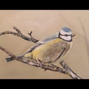 Irish Artmart | The Irish Art Marketplace | Discover new Irish Art