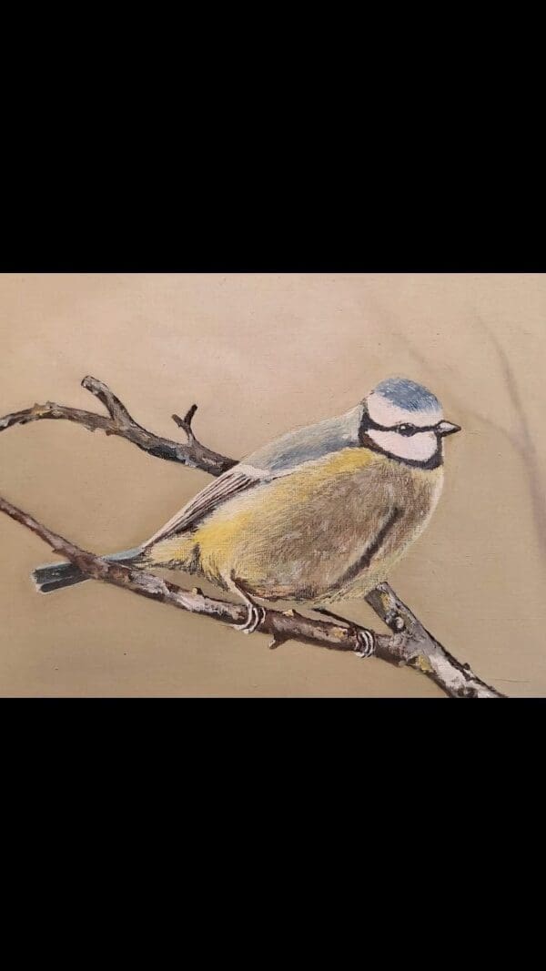Irish Artmart | The Irish Art Marketplace | Discover new Irish Art
