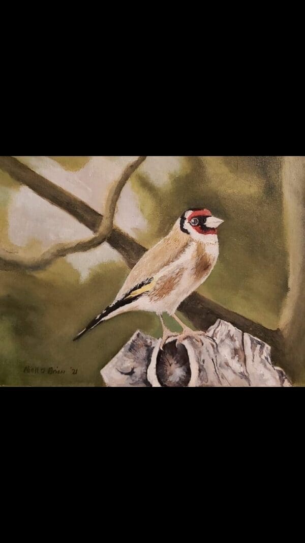 Irish Artmart | The Irish Art Marketplace | Discover new Irish Art