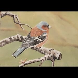 Irish Artmart | The Irish Art Marketplace | Discover new Irish Art