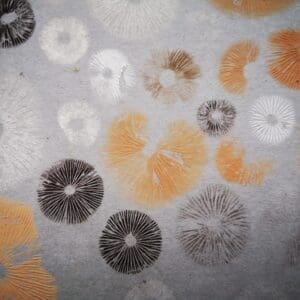 Irish Artmart | The Irish Art Marketplace | Discover new Irish Art