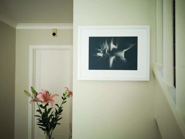Irish Artmart | The Irish Art Marketplace | Discover new Irish Art