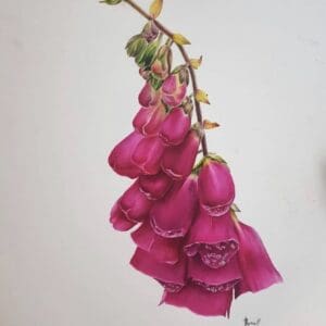 Irish Artmart | The Irish Art Marketplace | Discover new Irish Art