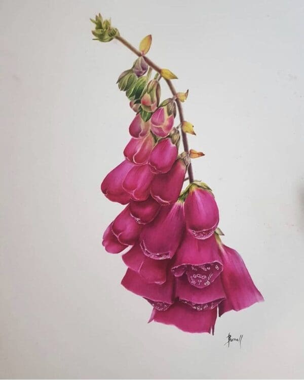 Irish Artmart | The Irish Art Marketplace | Discover new Irish Art