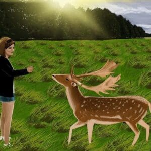 Irish Artmart | The Irish Art Marketplace | Discover new Irish Art