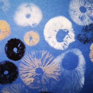 Irish Artmart | The Irish Art Marketplace | Discover new Irish Art