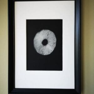 Irish Artmart | The Irish Art Marketplace | Discover new Irish Art
