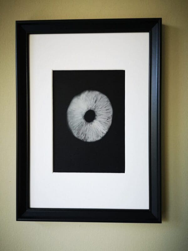 Irish Artmart | The Irish Art Marketplace | Discover new Irish Art