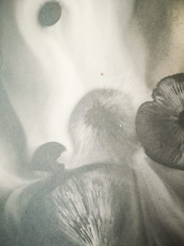 Irish Artmart | The Irish Art Marketplace | Discover new Irish Art