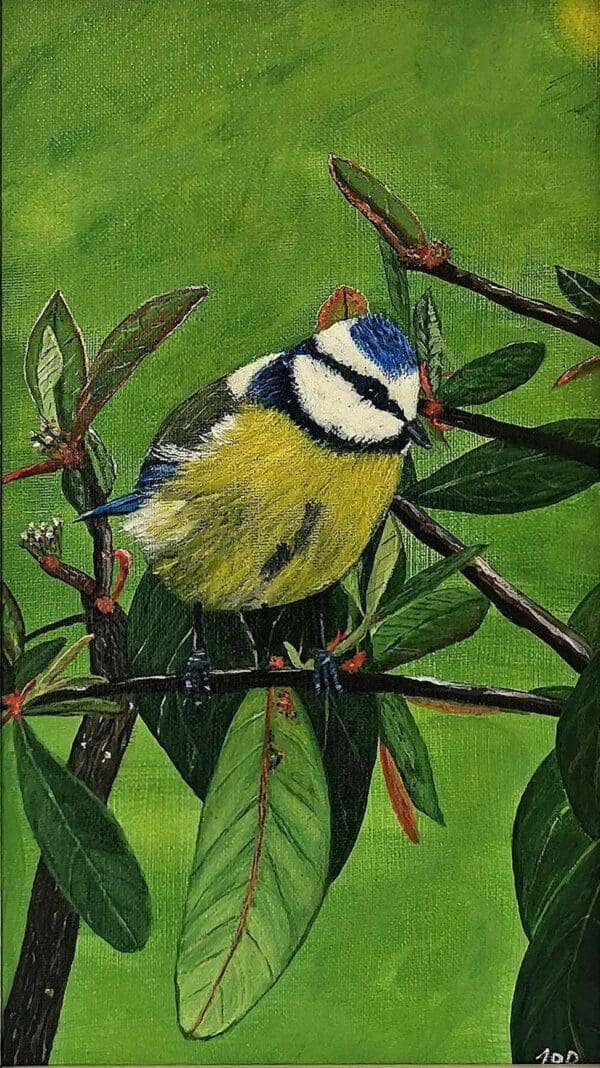 Irish Artmart | The Irish Art Marketplace | Discover new Irish Art