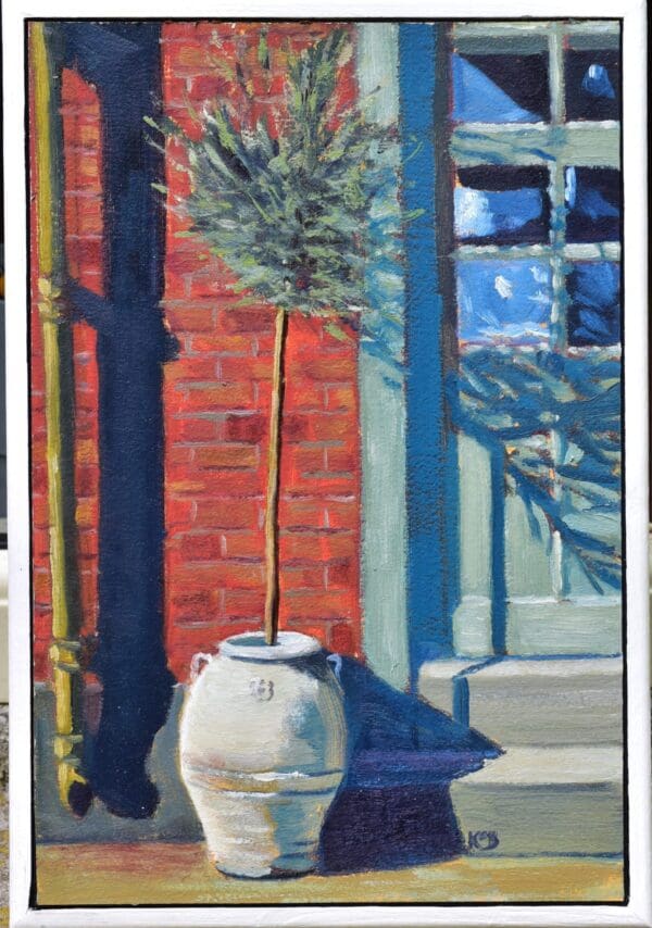 Olive Tree in Caly Pot