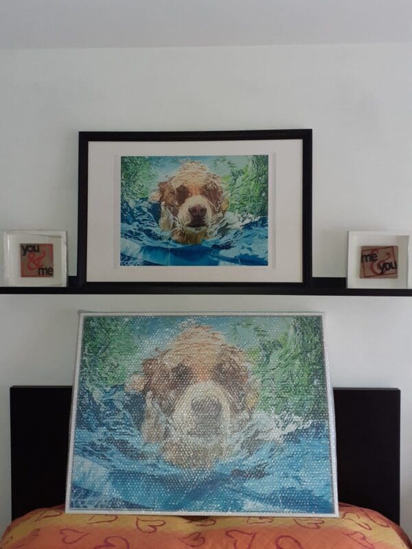 Nosey Dog Underwater - Image 2