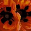 (Oriental Poppies) - Georgia O'Keeffe