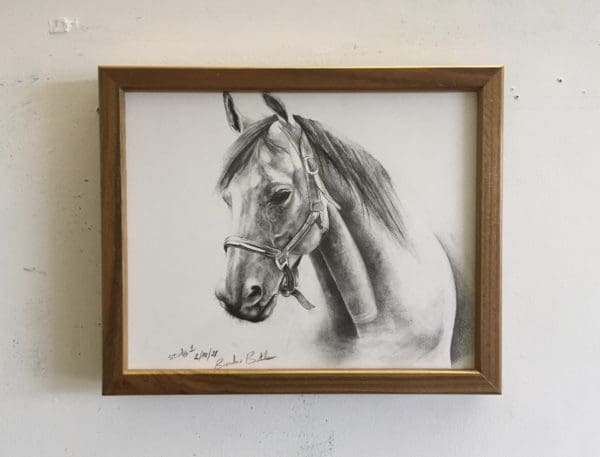 Horse Study