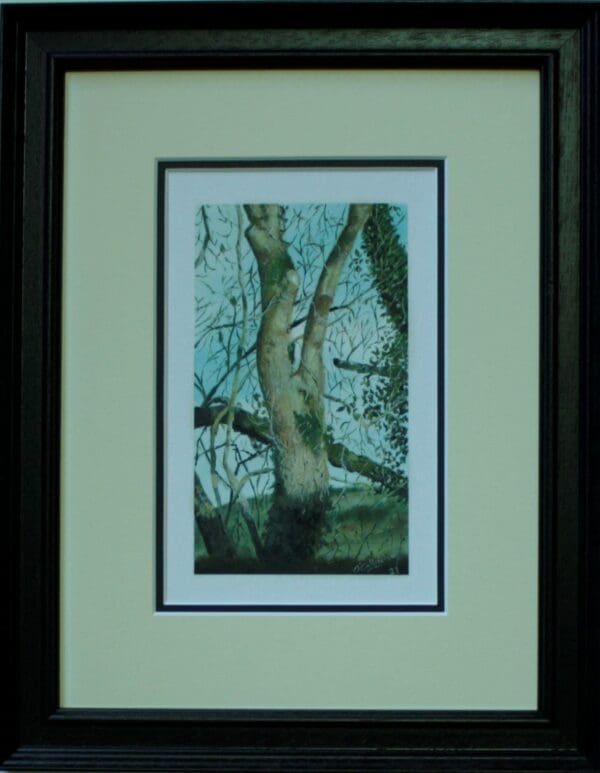 Hedgerows - Image 2