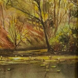Water lilies