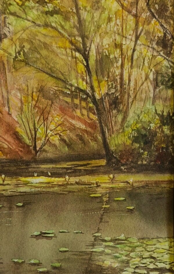 Water lilies