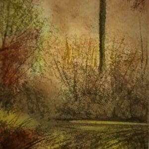 Wilderness