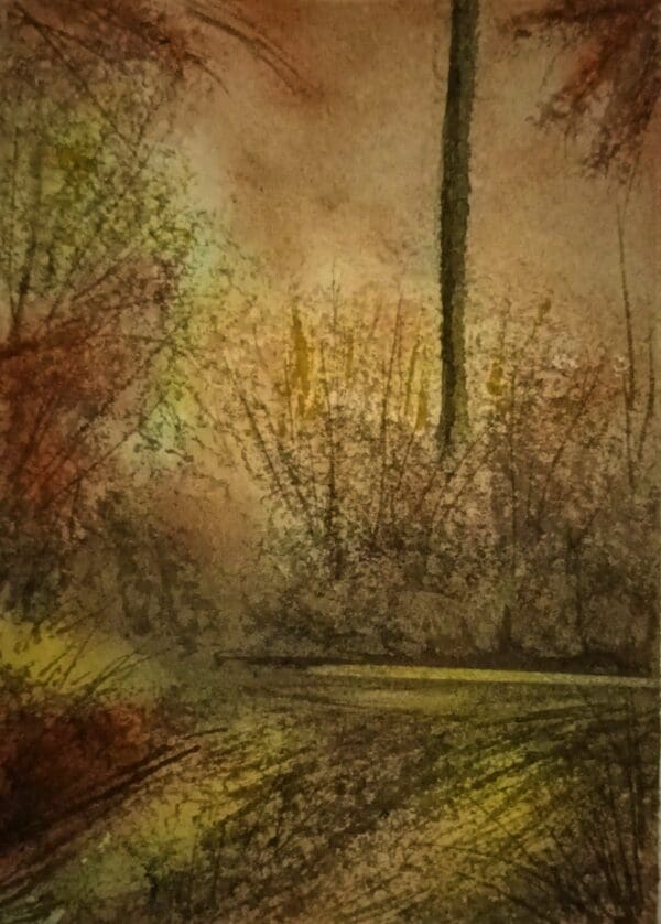 Wilderness