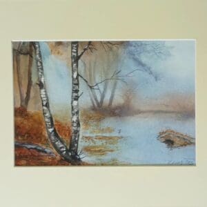 Birch trees