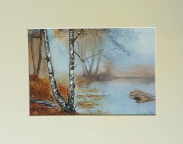 Birch trees