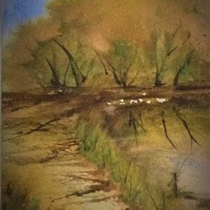 Spring