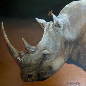 Crying Rhino