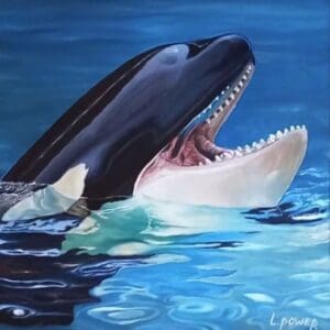 Orca Fun