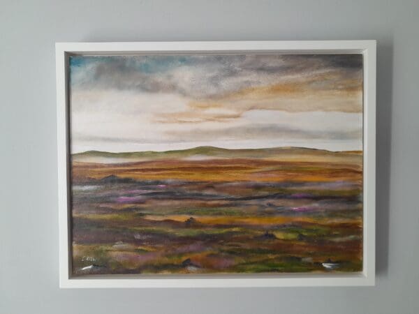 Boglands of Connemara - Image 2