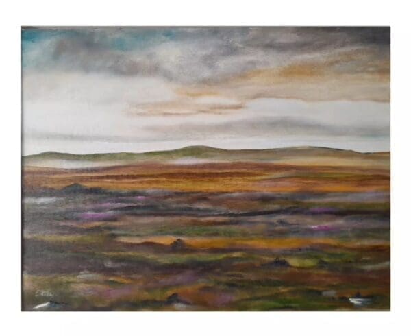 Boglands of Connemara