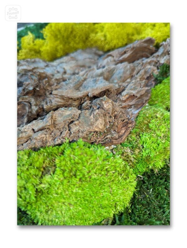 Moss art - Image 3