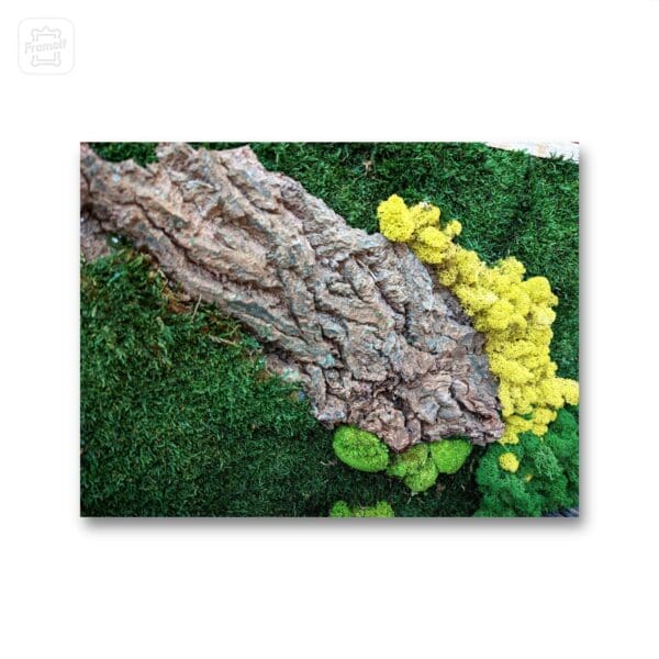 Moss art - Image 5