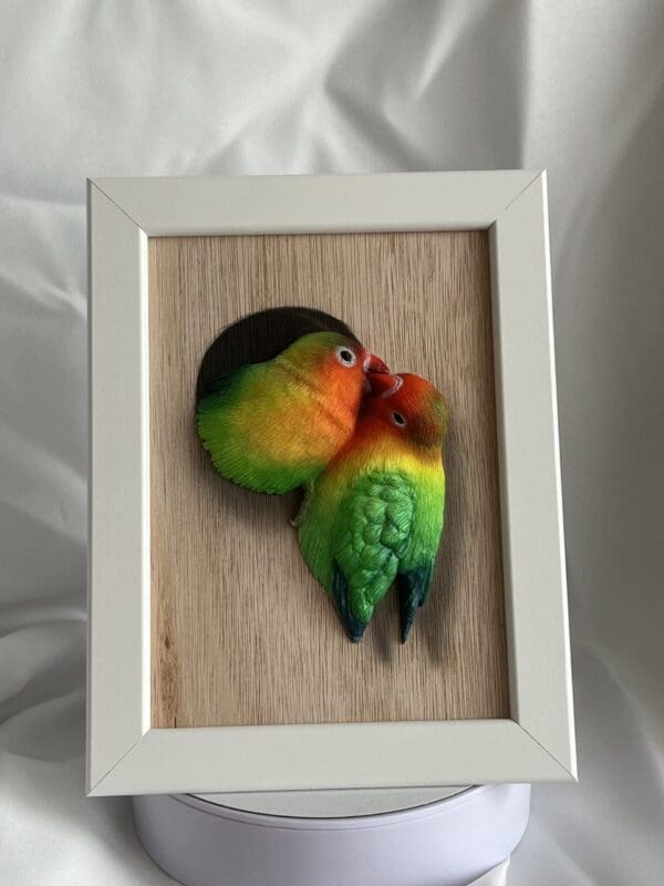 3D handmade realistic framed parrots
