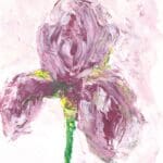 Purple Iris