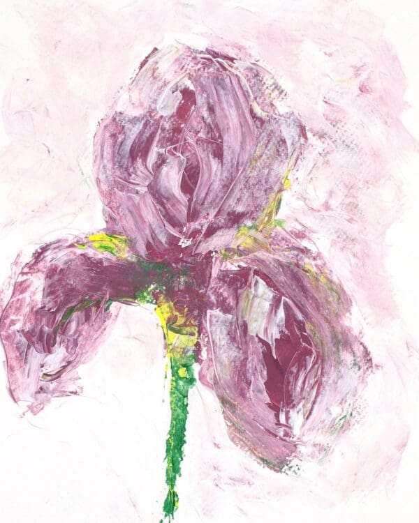 Purple Iris