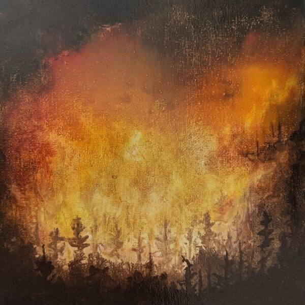 Mountain Fire