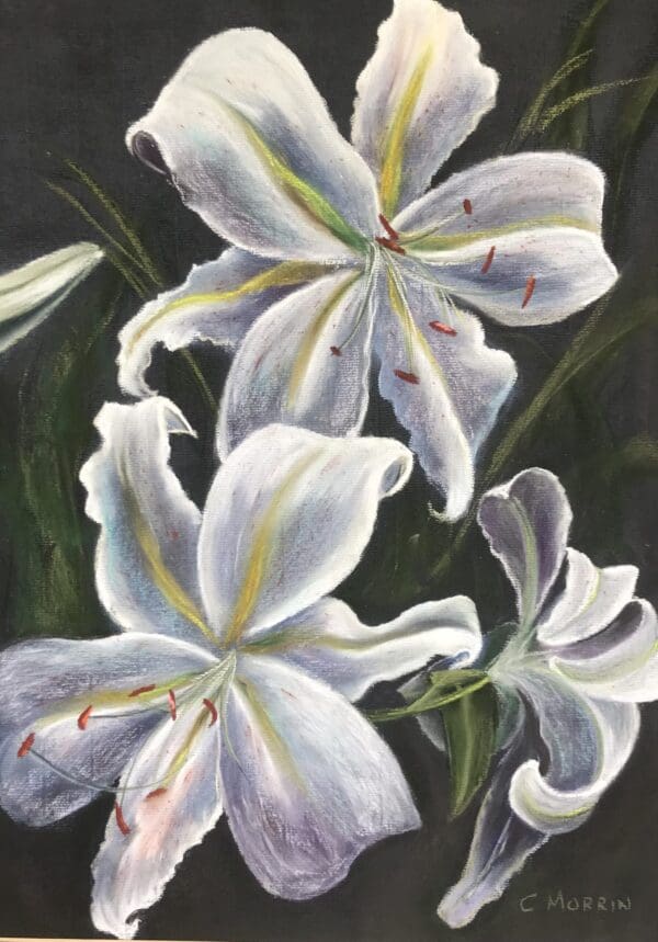 Golden Rayed lilies