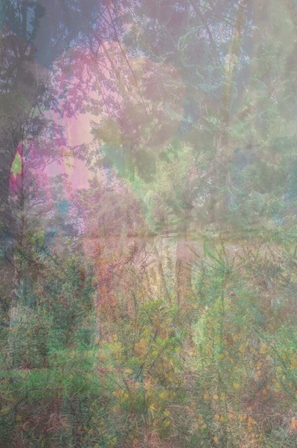 Nature's First Green - Image 3