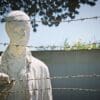 Irish Artmart Blog