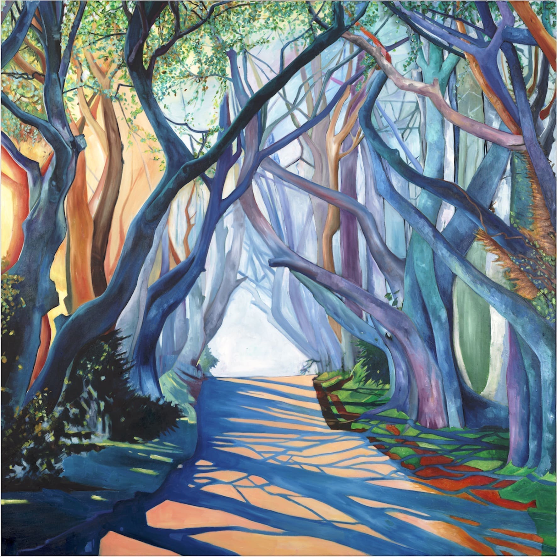 Dark Hedges