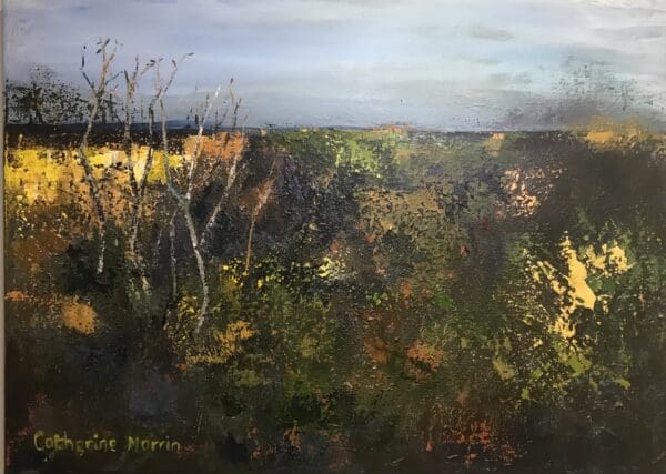 Connemara Landscape
