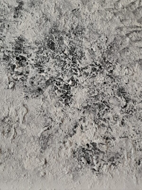 Ultrasound - Image 2