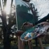 Inspiration from Nature: Techniques for Painting Landscapes in Oil