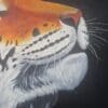Predators Series - "Tiger" - Image 3