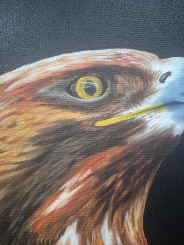 Predators Series - "Eagle" - Image 6