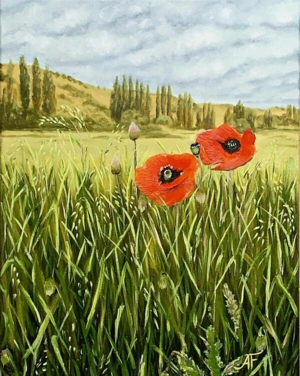 Landscape “Lonely poppies”