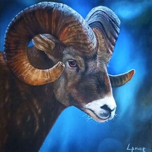 Aries The Goat